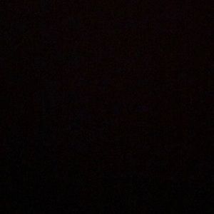 Meet your Posher, Tawni